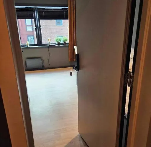 A Cheaper Option To Apartment Alesund